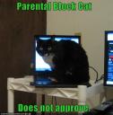 Parental block cat
