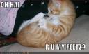 lolcats-funny-picture-my-feet.jpg